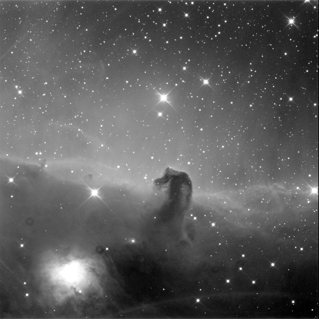 Horsehead and Hamburger Nebulae